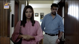 Pinjra - Episode 17 - 19th Jan 2023